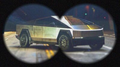 The dogequest website published a partial list of Tesla owners