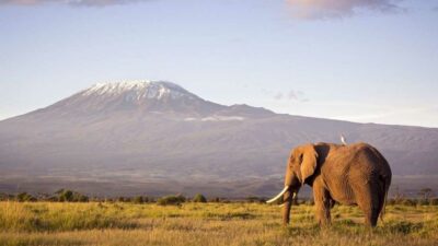 Africa is home to some of the world’s most beautiful