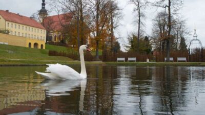 The twisting turret and arched red roof of a grand