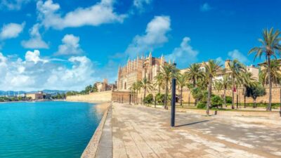 Property business leaders in the Balearic Islands have warned citizens