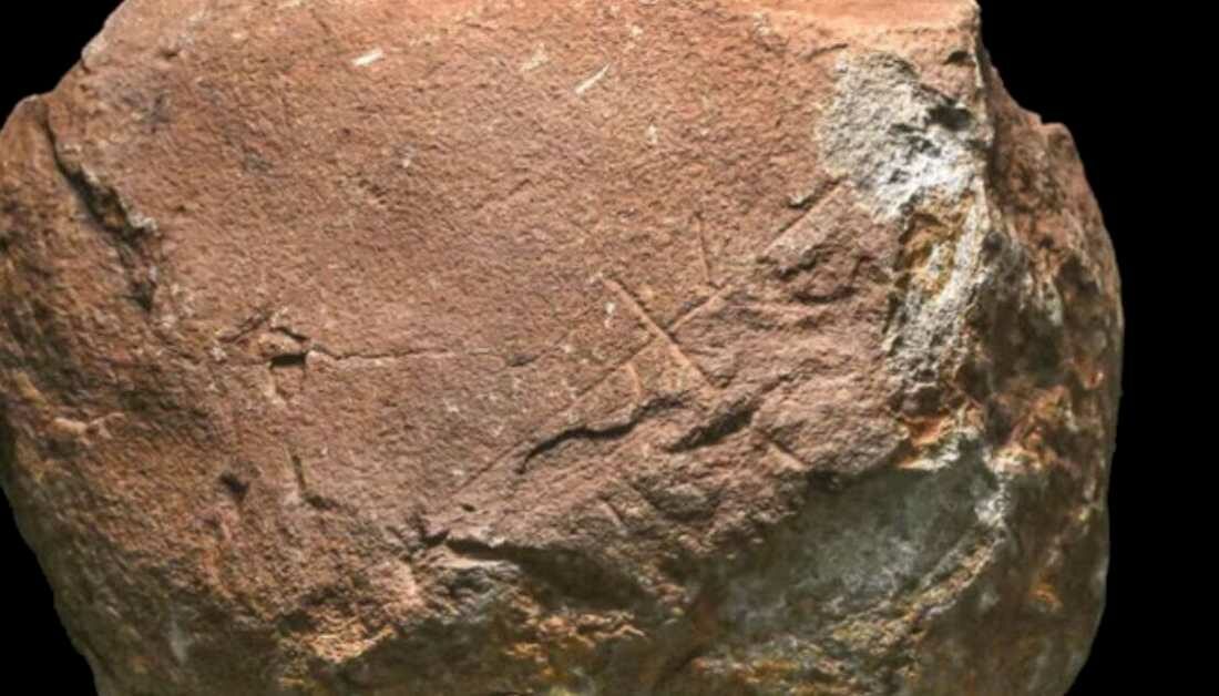 Archaeologists in Spain have discovered what might be the oldest