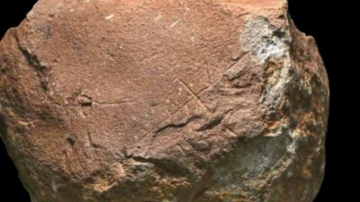 Archaeologists in Spain have discovered what might be the oldest