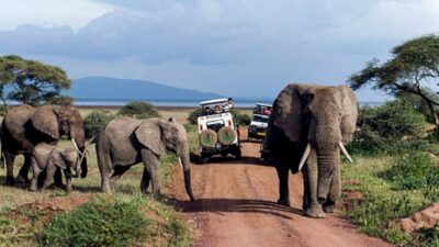 Following decades of work, a beautiful country is set to