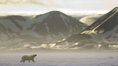 After a long, cold and dark winter, many people are